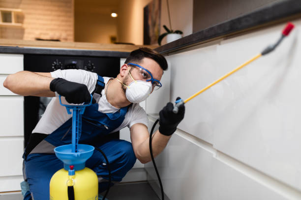 Best Affordable Pest Control Services  in San Fernando, CA