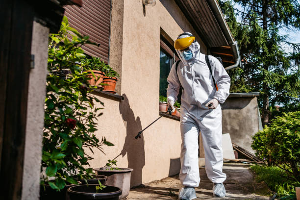 Reliable San Fernando, CA Pest Control Solutions