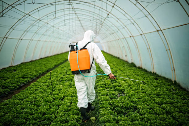 Best Pest Control Near Me  in San Fernando, CA