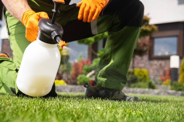 Best Commercial Pest Control Services  in San Fernando, CA