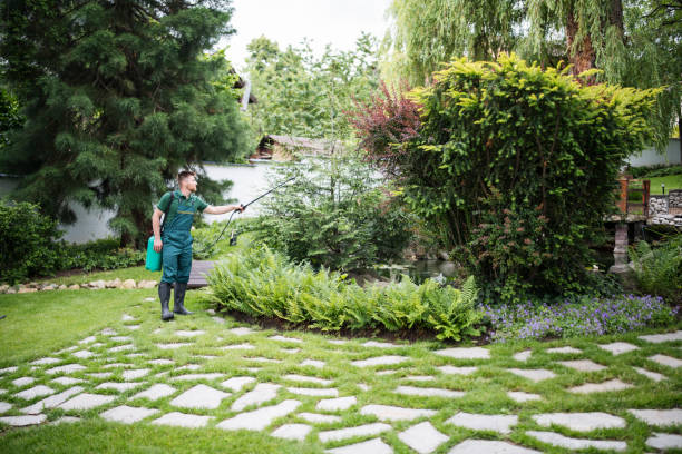 Best Residential Pest Control  in San Fernando, CA