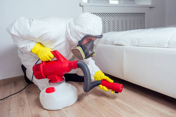 Best Termite Control Services  in San Fernando, CA