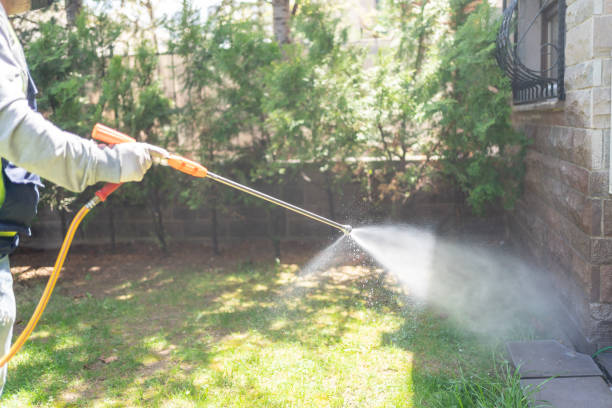 Best Mosquito Control Services  in San Fernando, CA