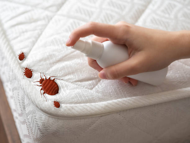 Best Exterminator Services  in San Fernando, CA