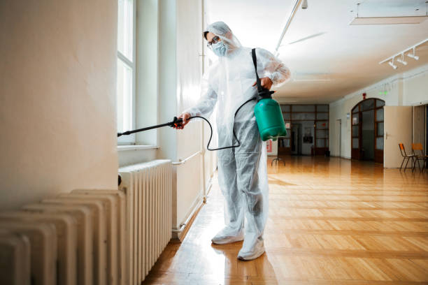 Best Pest Prevention Services  in San Fernando, CA